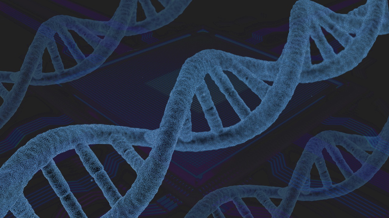 Genomics and Bioinformatics is an invaluable hybrid of science, concerning the structure and function of genomes and the use of computational technology to capture and interpret biological data.