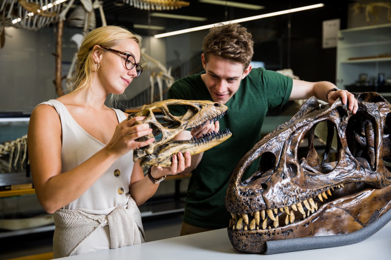Photograph of a group of science students examinig some dinosaur bones