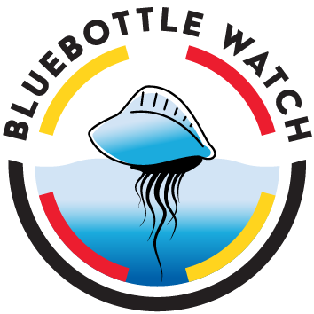 Circular logo with a line drawing of a bluebottle surrounded by a circle with 'Bluebottle Watch' making up the top half of the circle