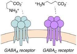 GABA receptor ligands 