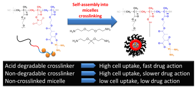 Crosslinked micelles for the delivery of cisplatin