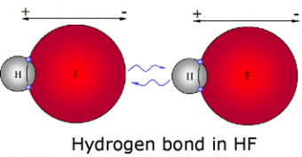 Hydrogen-bonds-image-1