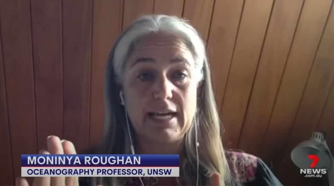Professor Moninya Roughan was interviewed by 7 News and ABC about ocean currents