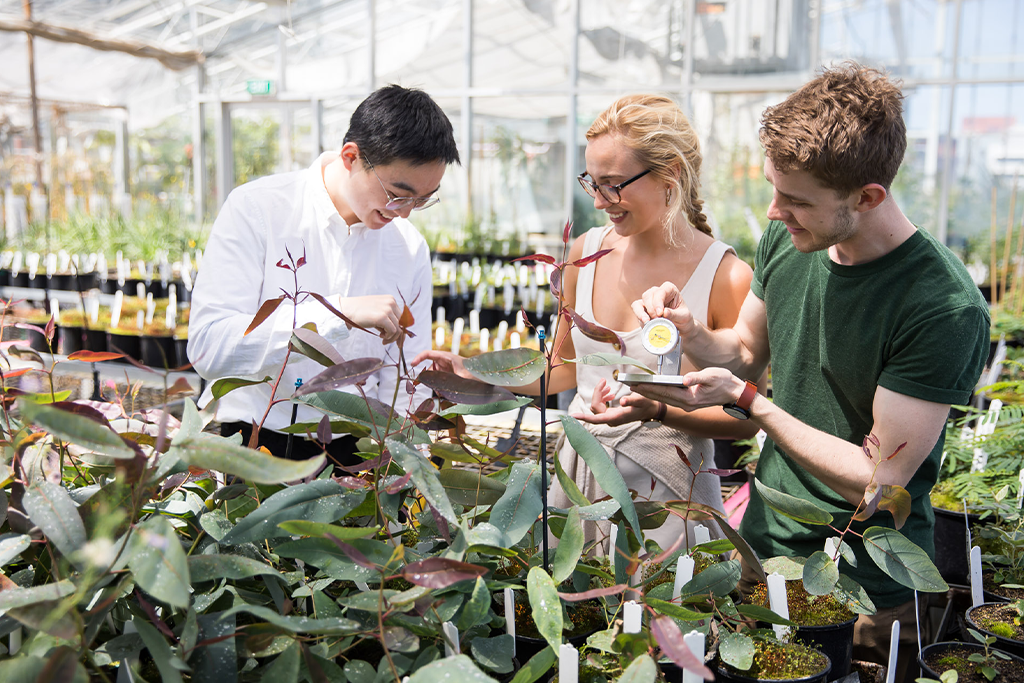 Students working in glasshouse