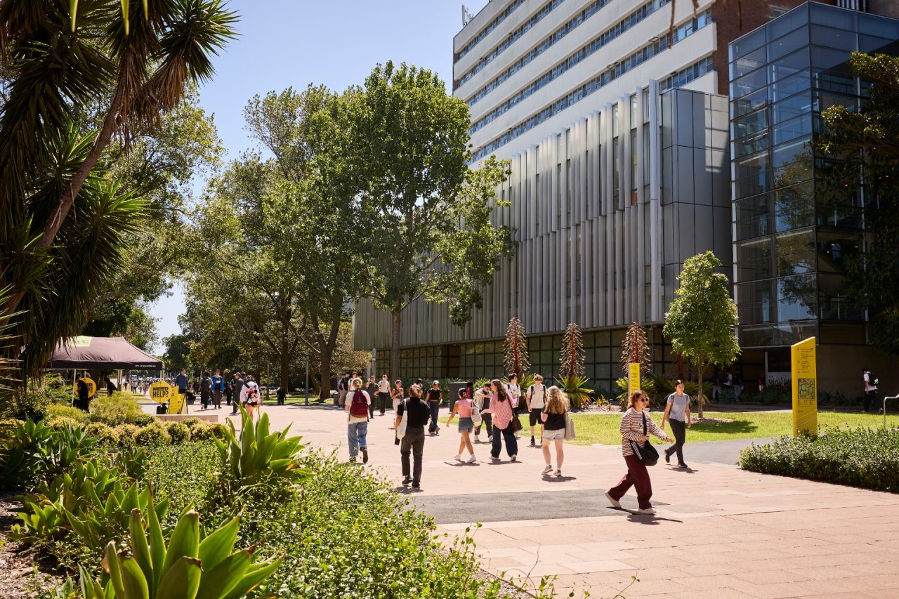 Students talking and laughing at UNSW.