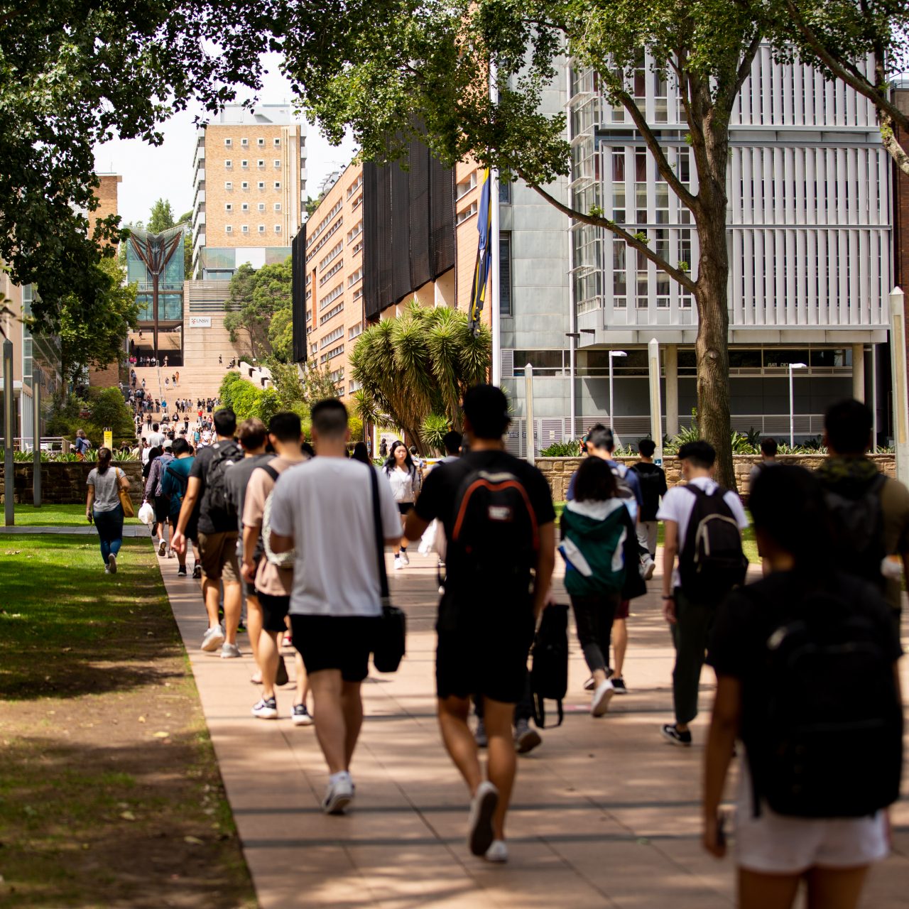 Students on Main Walkway, Scientia building in background