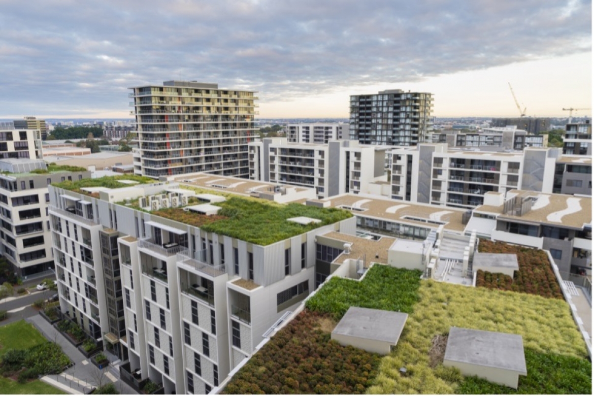 Water Sensitive Urban Design (WSUD) - Green roofs Sydney